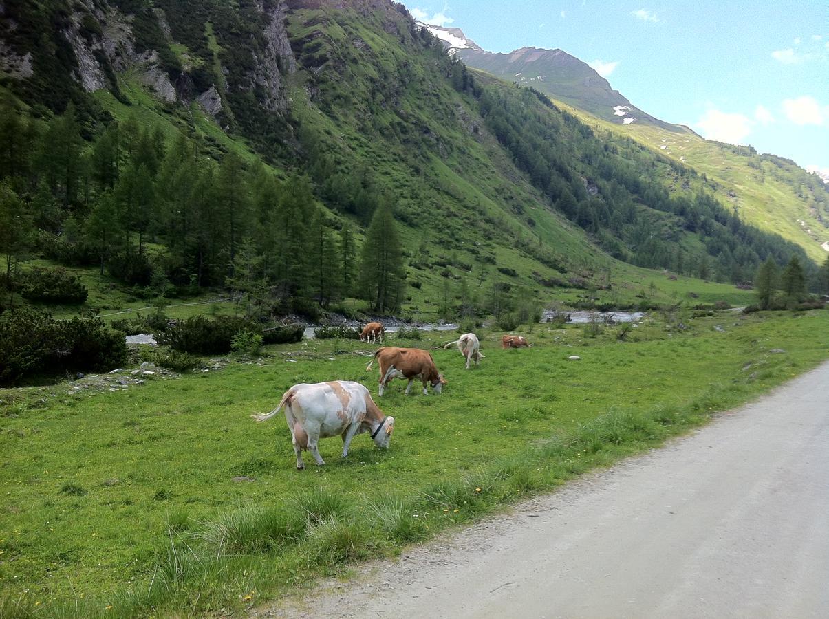 Scol Sporthotel Grossglockner Kals-am Großglockner Buitenkant foto